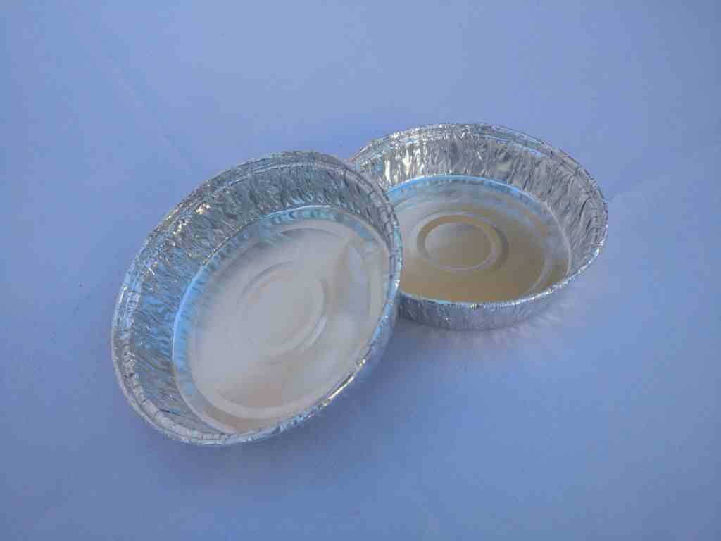 Pal 12 Plato